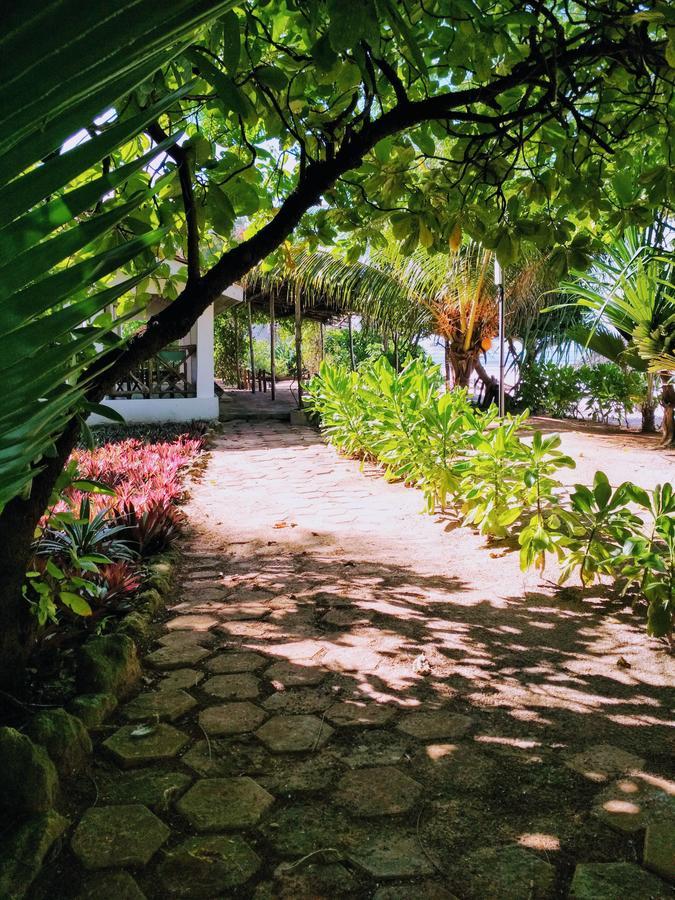 Panga Chumvi Beach Resort Matemwe Kültér fotó