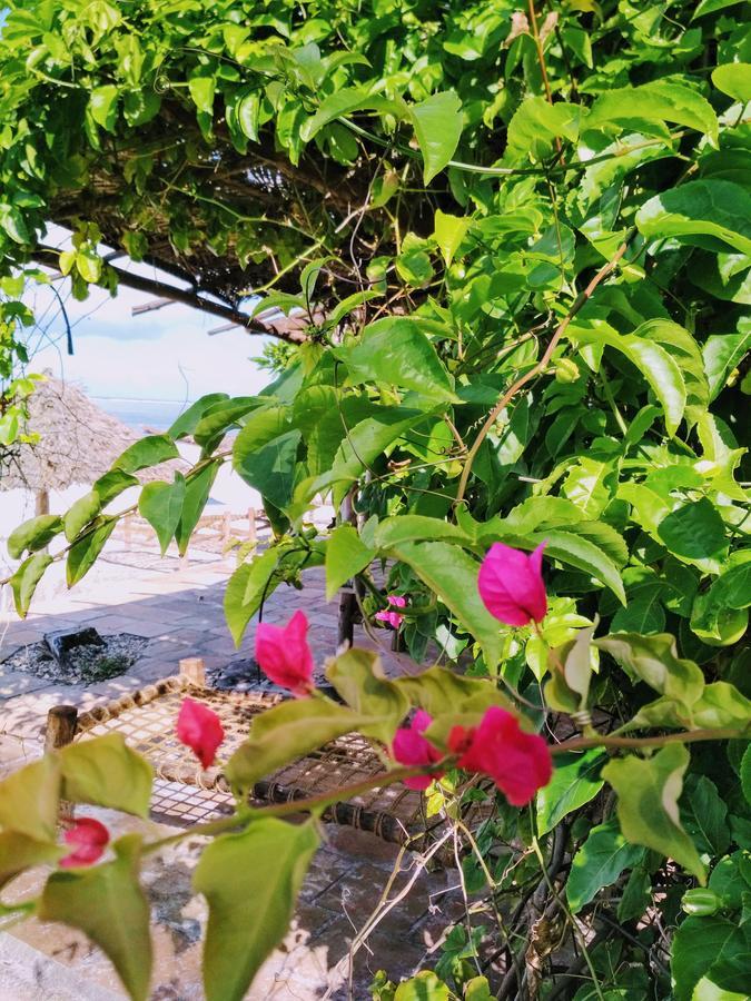 Panga Chumvi Beach Resort Matemwe Kültér fotó